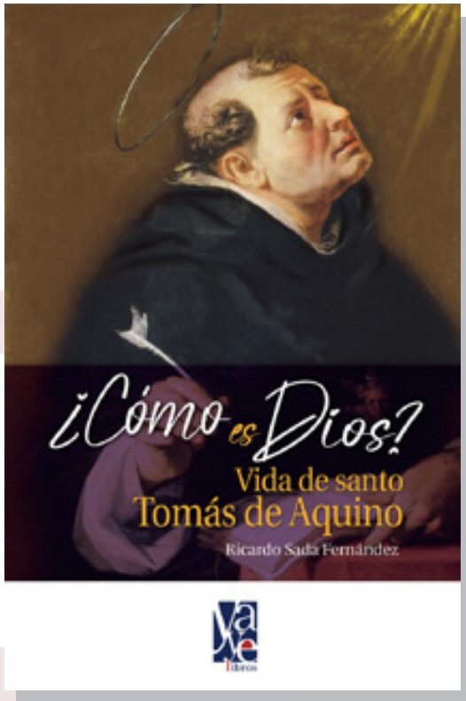 Portada del libro ¿Cómo es Dios? del Padre Ricardo Sada